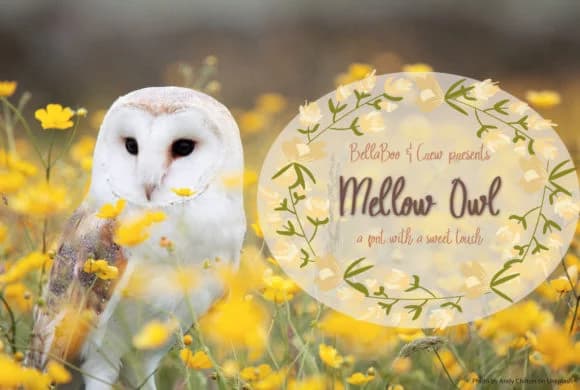 Mellow Owl Font by BellaBoo — Script Handwritten Font — preview 1