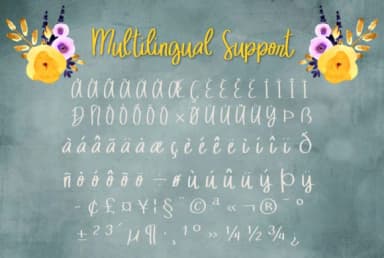 Mellow Owl Font by BellaBoo — Script Handwritten Font — thumbnail 5