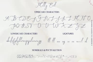 Melly Eret Font by star studio — Script Handwritten Font — thumbnail 9