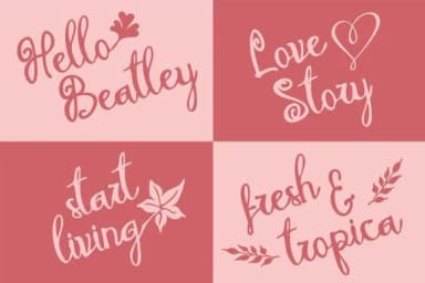 Melodina Script Font by Solidtype — Script Handwritten Font — thumbnail 4