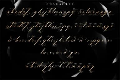 Melodious Script Font by putracetol — Script Handwritten Font — thumbnail 9