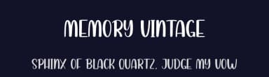Memory Vintage by Andi Moz — Script Handwritten Font — thumbnail 2