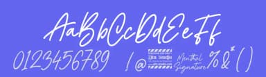 Menthol Signature by Din Studio — Script Handwritten Font — thumbnail 3