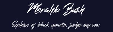 Merahb Bush by selawetype — Script Handwritten Font — thumbnail 2