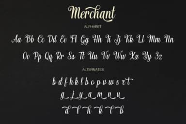 Merchant Font by Pasha Larin — Script Handwritten Font — thumbnail 9