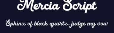 Mercia Script by Letterflow — Script Handwritten Font — thumbnail 2