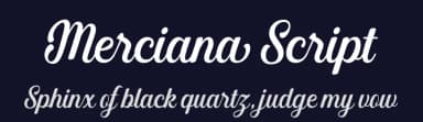Merciana Script by Akifatype Studio — Script Handwritten Font — thumbnail 2