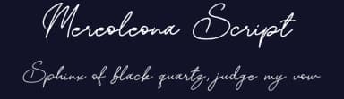Mereoleona Script by Zuzulgo Studio — Script Handwritten Font — thumbnail 2