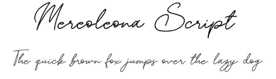 Mereoleona Script by Zuzulgo Studio — Script Handwritten Font