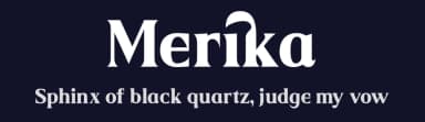 Merika by Storytype Studio — Serif Font — thumbnail 2
