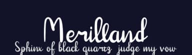 Merilland by Prioritype Co — Script Handwritten Font — thumbnail 2