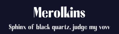 Merolkins by Storytype Studio — Sans Serif Font — thumbnail 2
