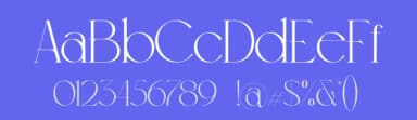 Meroona Display Serif by Feri Feriyal — Serif Font — thumbnail 3