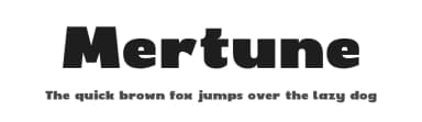 Mertune by Fikryal studio — Sans Serif Font — thumbnail 1