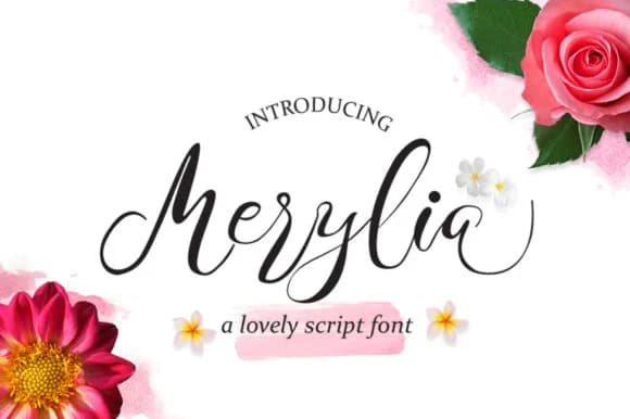 Merylia Font by Minimal Movement — Script Handwritten Font