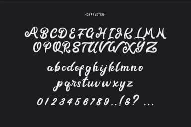 Metal Ink Font by Thirtypath — Script Handwritten Font — thumbnail 8