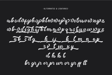 Metal Ink Font by Thirtypath — Script Handwritten Font — thumbnail 9