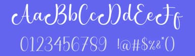 Metta Dahlia by AV Type — Script Handwritten Font — thumbnail 3