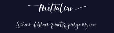 Mettalian by Gilar Studio — Script Handwritten Font — thumbnail 2