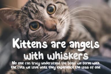 Miao Sandalo Font by adevio27 — Script Handwritten Font — thumbnail 3