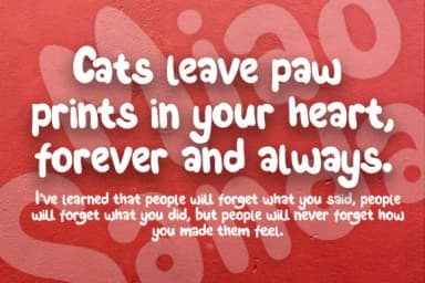 Miao Sandalo Font by adevio27 — Script Handwritten Font — thumbnail 5