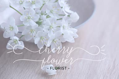 Michella Font by Cooldesignlab — Script Handwritten Font — thumbnail 3