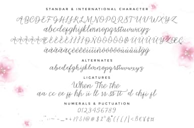 Michella Font by Cooldesignlab — Script Handwritten Font — thumbnail 6