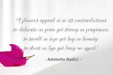 Michella Font by Cooldesignlab — Script Handwritten Font — thumbnail 7