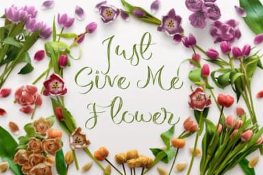 Michelle Script Font by Debut Studio — Script Handwritten Font — thumbnail 2