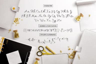 Michelle Script Font by Debut Studio — Script Handwritten Font — thumbnail 3