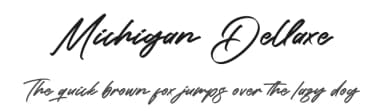Michigan Dellaxe by Letterena Studios — Script Handwritten Font — thumbnail 1