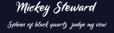 Mickey Steward by cove703 — Script Handwritten Font — thumbnail 2