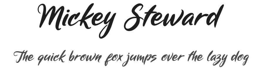 Mickey Steward by cove703 — Script Handwritten Font