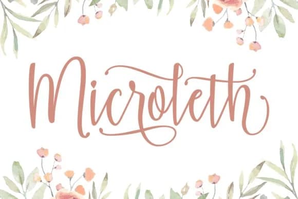 Microleth Font by Keithzo (7NTypes) — Script Handwritten Font