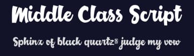 Middle Class Script by Debut Studio — Script Handwritten Font — thumbnail 2