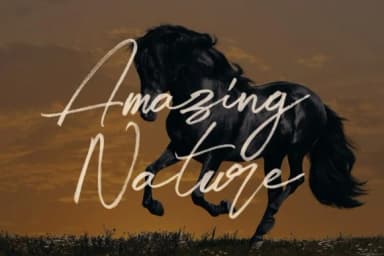 Midnight Font by JumboDesign — Script Handwritten Font — thumbnail 8