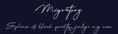 Migratory by DumadiStyle — Script Handwritten Font — thumbnail 2