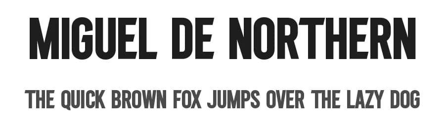 Miguel De Northern by Graphicxell — Sans Serif Font