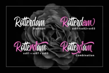 Miguela Script Font by RedyStudio — Script Handwritten Font — thumbnail 3