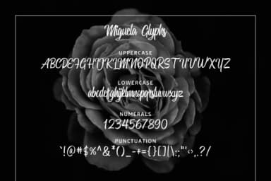 Miguela Script Font by RedyStudio — Script Handwritten Font — thumbnail 4