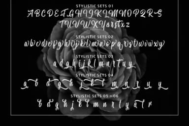 Miguela Script Font by RedyStudio — Script Handwritten Font — thumbnail 5