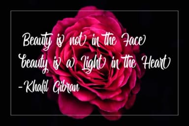 Miguela Script Font by RedyStudio — Script Handwritten Font — thumbnail 7