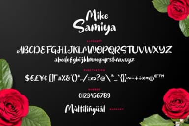 Mike Samiya Font by Grezline Studio — Script Handwritten Font — thumbnail 6