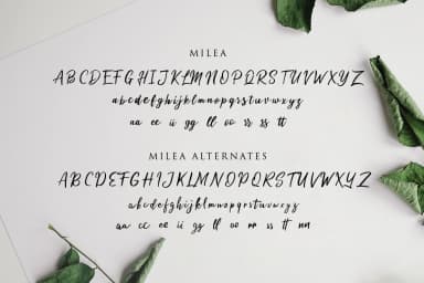 Milea Font by Weape Design — Script Handwritten Font — thumbnail 7