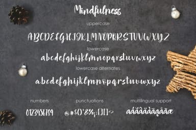 Mindfulness Font by tregubova.jul — Script Handwritten Font — thumbnail 5