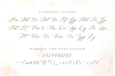 Minimalist Script Font by RedyStudio — Script Handwritten Font — thumbnail 8