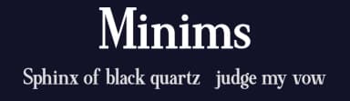 Minims by Achmad Yani — Serif Font — thumbnail 2