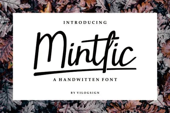 Mintlic Font by Vilogsign — Script Handwritten Font — preview 1