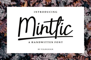 Mintlic Font by Vilogsign — Script Handwritten Font — thumbnail 1