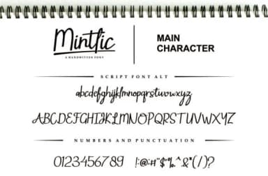 Mintlic Font by Vilogsign — Script Handwritten Font — thumbnail 5